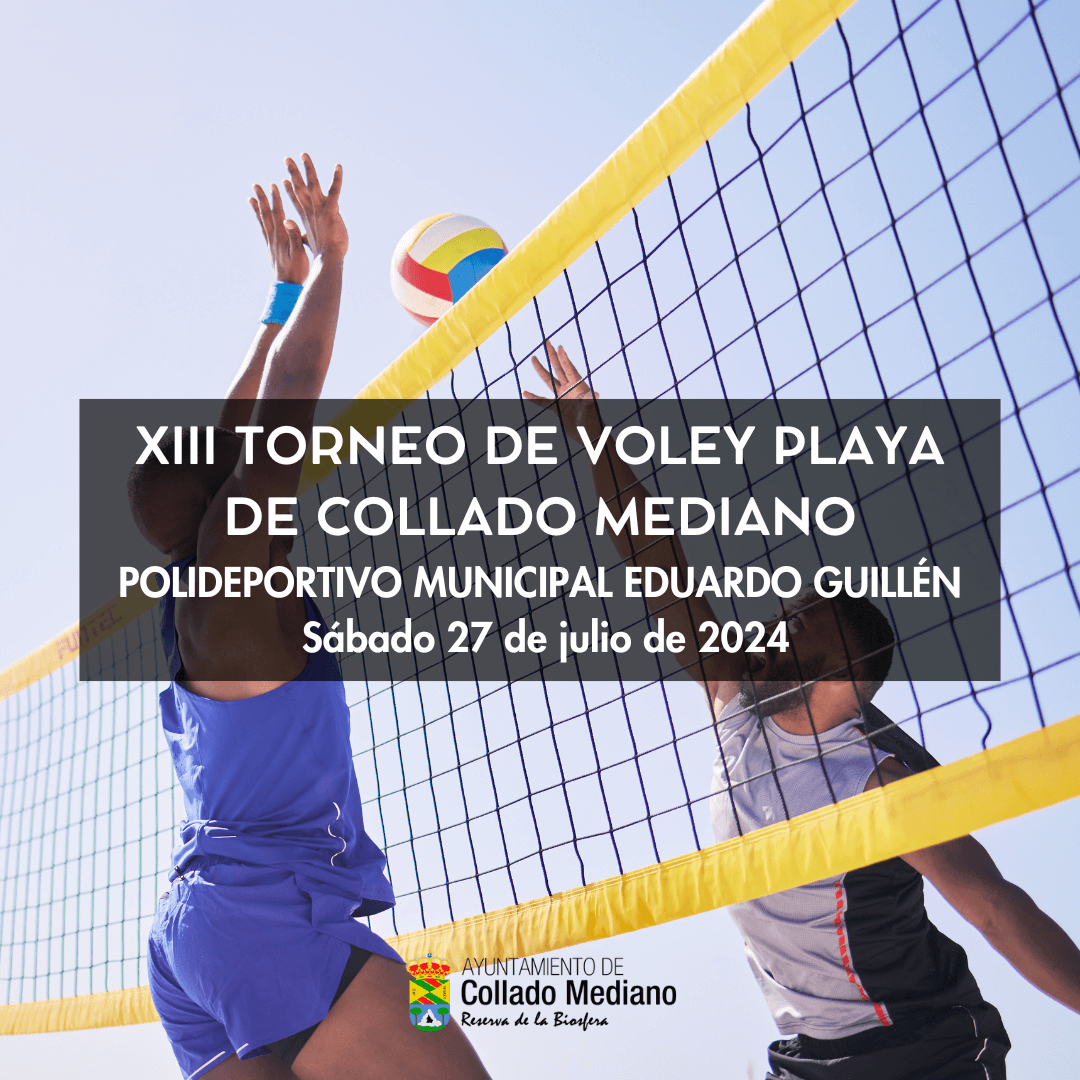 20240725 torneovoley